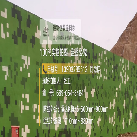 芜湖专业承接园区围墙迷彩喷涂、