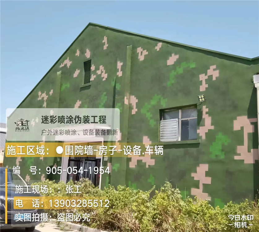 芜湖外墙数码迷彩漆施工报价清单（100㎡标准墙面测算）
